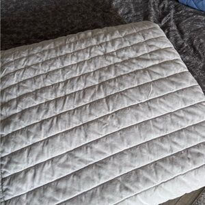 Ivory Threshold Velvet Comforter